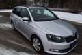 Skoda Fabia Ambition KOMBI pickerl neu Silber - thumbnail 8