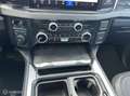 Ford F 350 USA Platinum Zwart - thumbnail 19