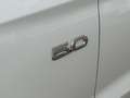 Ford Mustang 50 YEAR EDITION Weiß - thumbnail 13