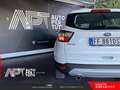 Ford Kuga Kuga 1.5 tdci Business s&s 2wd 120cv Weiß - thumbnail 30