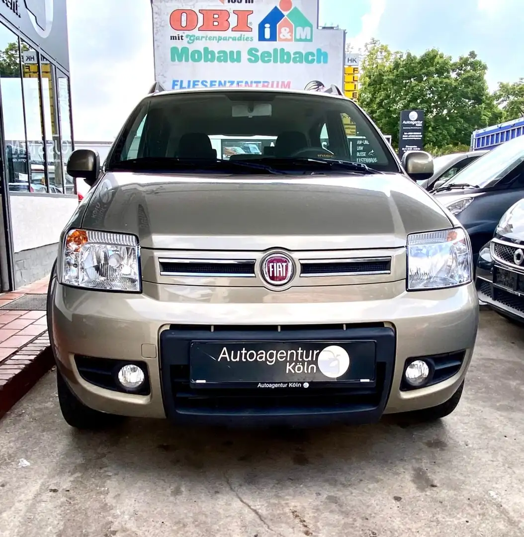 Fiat Panda 1.2 8V Climbing  4X4 *KLIMA*1-J GARANTIE* Beige - 2