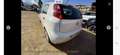 Fiat Punto 1.3 MJT II S&S 95 CV 5 porte Street Weiß - thumbnail 4