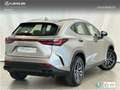 Lexus NX 350h 2WD PREMIUM Gris - thumbnail 3