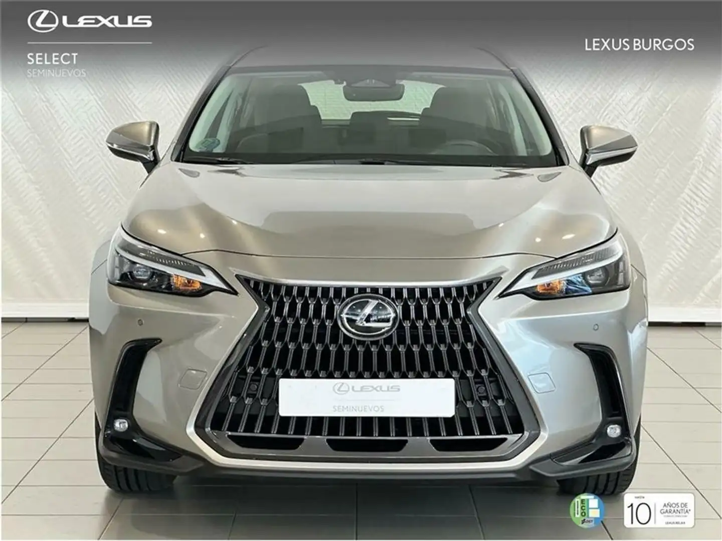 Lexus NX 350h 2WD PREMIUM Gris - 2