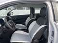 Fiat 500 Hatchback Hybrid Torino Blau - thumbnail 6