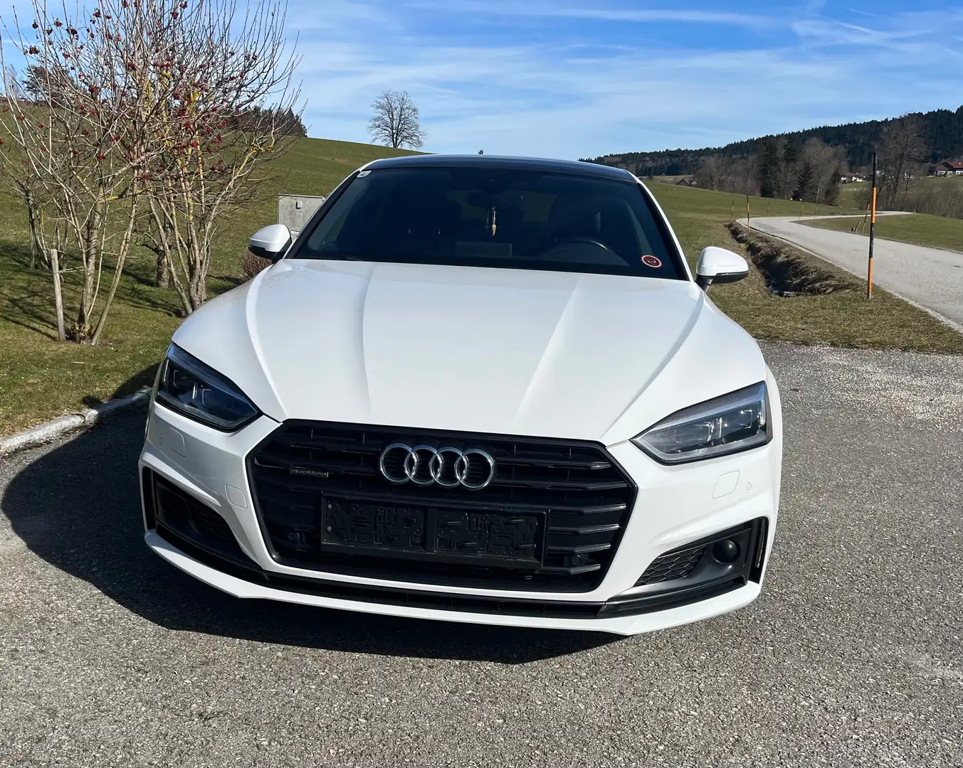 Audi A5 A5 SB 3,0 TDI quattro design S-tronic design Weiß - 2