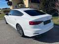 Audi A5 A5 SB 3,0 TDI quattro design S-tronic design Weiß - thumbnail 4