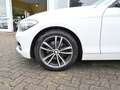 BMW 120 120i Aut *Sport Line Shadow* 5-tür Navi DAB LED Weiß - thumbnail 12