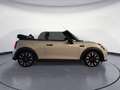 MINI Cooper Cabrio Classic Trim Steptronic Rückfahrka Alb - thumbnail 5