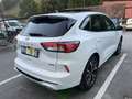 Ford Kuga Hybrid ST-Line X Weiß - thumbnail 4