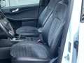 Ford Kuga Hybrid ST-Line X Weiß - thumbnail 12