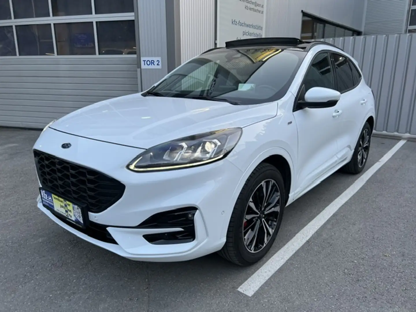 Ford Kuga Hybrid ST-Line X Weiß - 1