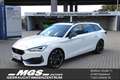CUPRA Leon ST 2.0 TSI 'VZ 4Drive' #PANO #AWD #ACC #PCC Weiß - thumbnail 1
