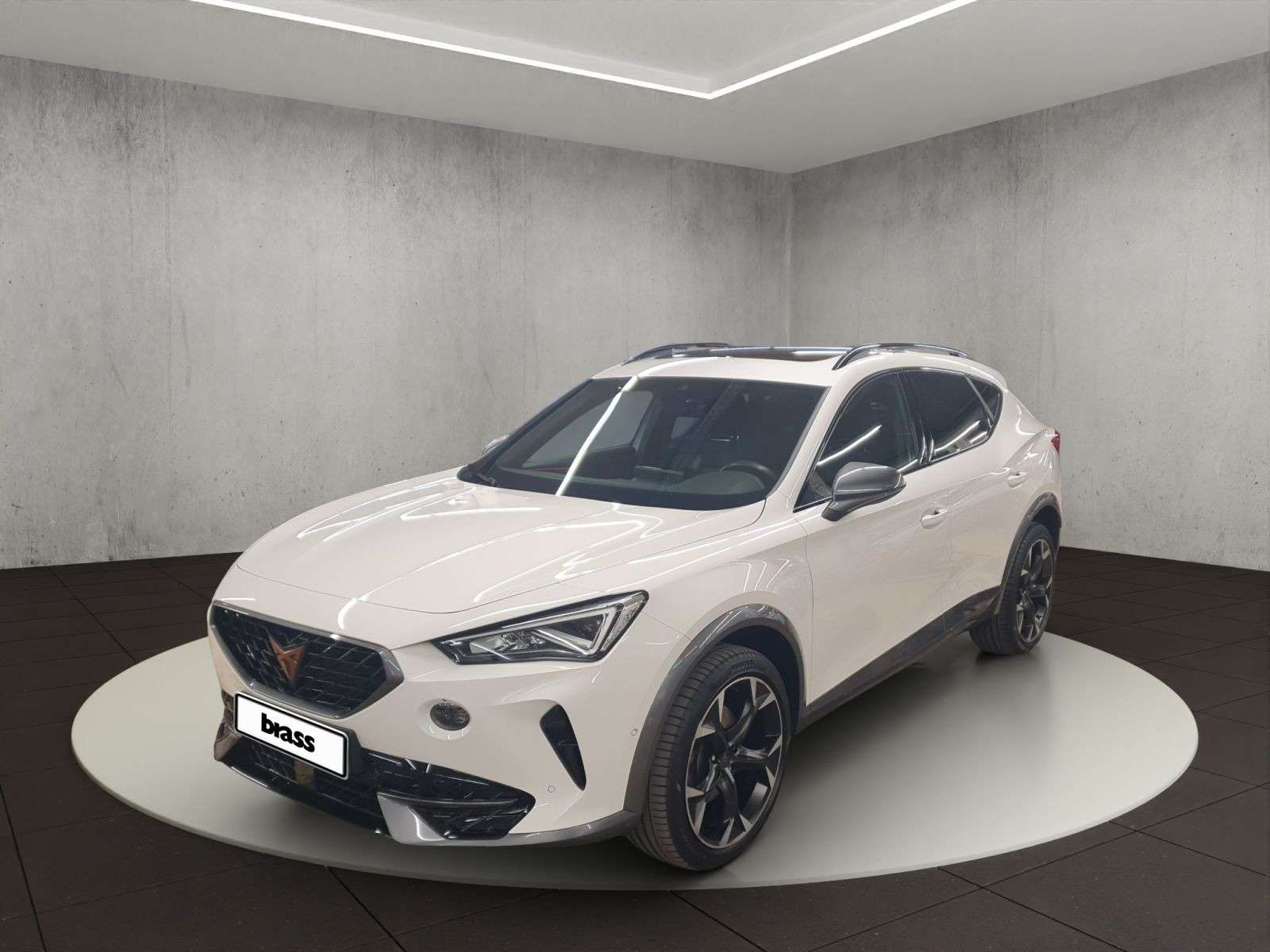 Second hand Cupra Formentor 2.0