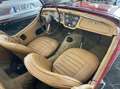 Triumph TR3 TR3 A Rot - thumbnail 14