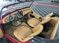 Triumph TR3 TR3 A Rot - thumbnail 10