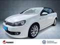 Volkswagen Golf VI Cabrio LOUNGE 1.2 TSI LM+SHZ+PDC+Navi Weiß - thumbnail 1