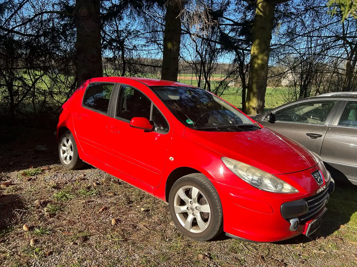 Peugeot 307 Rot - 2