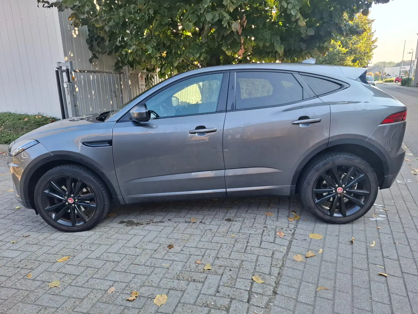 Jaguar E-Pace E-Pace 2.0 D R-Dynamic (EU6.2) Gris - 1