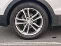 Hyundai SANTA FE Santa Fe 2.2CRDi 4x4 Style Brown 7s Aut. Style Brown Blanco - thumbnail 17