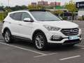 Hyundai SANTA FE Santa Fe 2.2CRDi 4x4 Style Brown 7s Aut. Style Brown Blanco - thumbnail 7