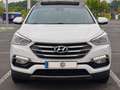 Hyundai SANTA FE Santa Fe 2.2CRDi 4x4 Style Brown 7s Aut. Style Brown Blanco - thumbnail 8