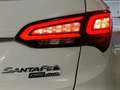Hyundai SANTA FE Santa Fe 2.2CRDi 4x4 Style Brown 7s Aut. Style Brown Blanco - thumbnail 14