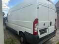 Fiat Ducato Ducato L2H2 2,2 JTD 100 Maxi lkw Euro 4 - thumbnail 3