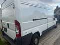 Fiat Ducato Ducato L2H2 2,2 JTD 100 Maxi lkw Euro 4 - thumbnail 5