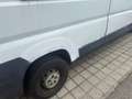 Fiat Ducato Ducato L2H2 2,2 JTD 100 Maxi lkw Euro 4 - thumbnail 4