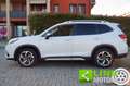 Subaru Forester 2.0 e-Boxer MHEV Premium - 2024 - GARANZIA 8 ANNI Wit - thumbnail 4