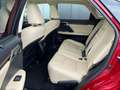 Lexus RX 450h AWD President Ltd | Ammonite sand Leder | Panodak Červená - thumbnail 5
