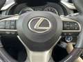 Lexus RX 450h AWD President Ltd | Ammonite sand Leder | Panodak Roşu - thumbnail 13