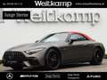 Mercedes-Benz SL 63 AMG AMG SL 63 4MATIC+ Keramik+Perf.Sitze+Distronic BC Grau - thumbnail 1