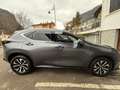 Lexus NX 200t NX II 2022 450h  2.5 phev F-Sport 4wd 309cv e-cvt Grau - thumbnail 7