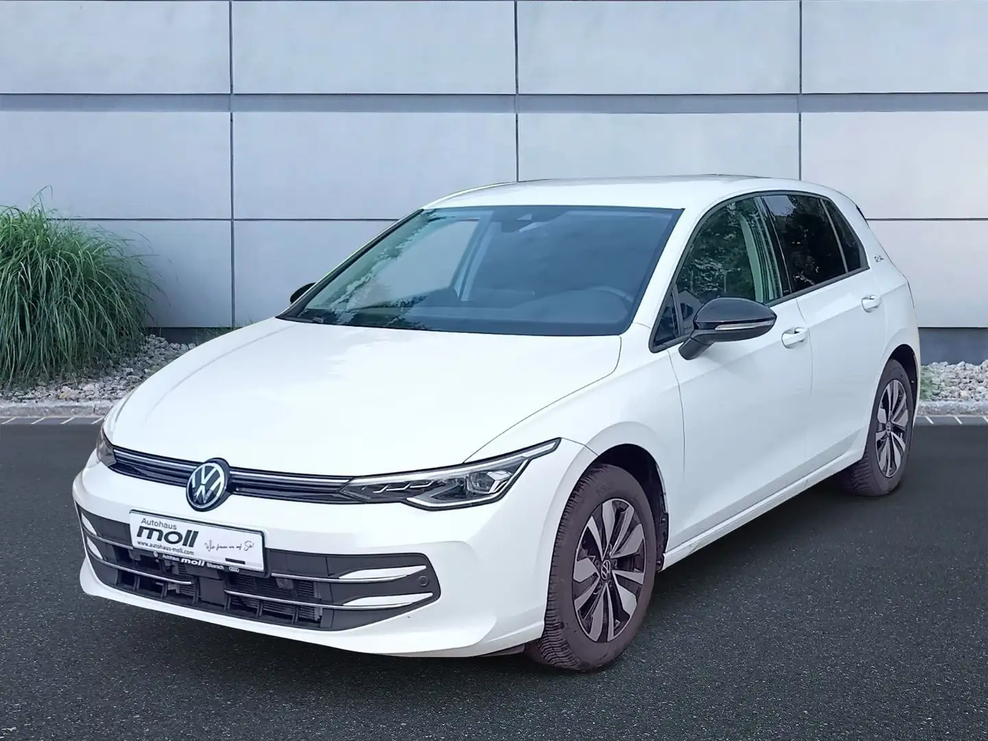 Volkswagen Golf Goal 1.5 eTSI DSG, AHK, Rear View Weiß - 1