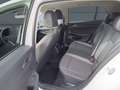 Volkswagen Golf Goal 1.5 eTSI DSG, AHK, Rear View Weiß - thumbnail 10