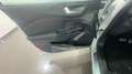 Ford Puma Puma 1.0 ecoboost h ST-Line X 125cv auto Grigio - thumbnail 10