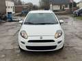 Fiat Panda 69 Ch//2012//181.653km//CLIM - thumbnail 2