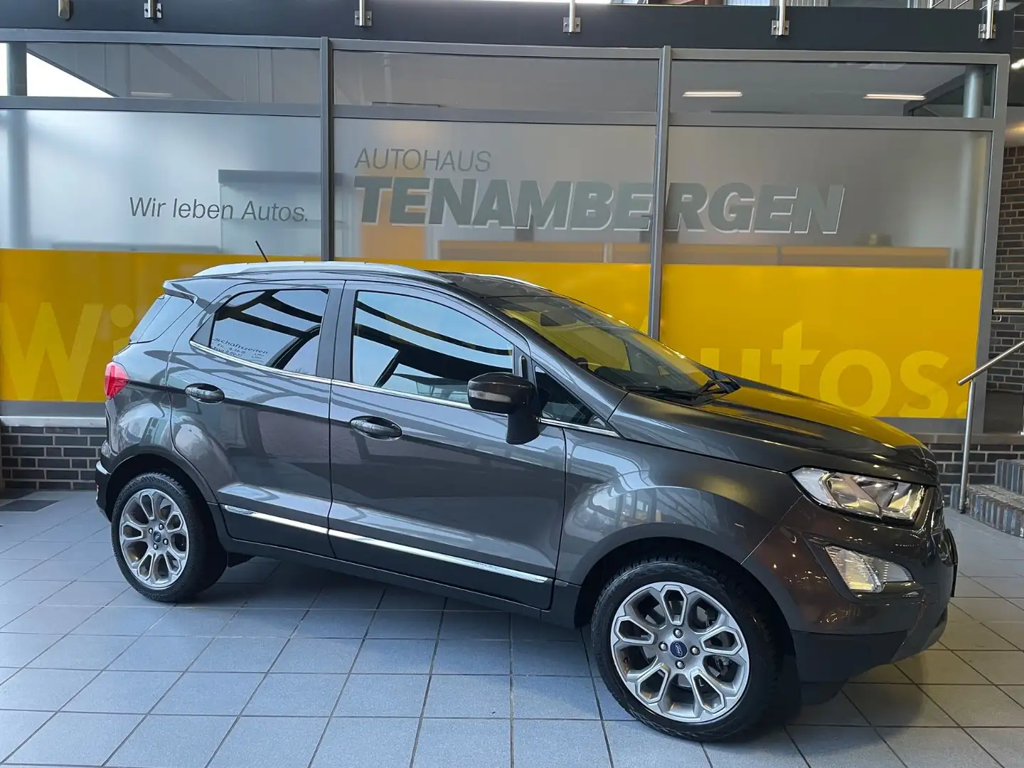 Ford EcoSport Titanium Automatik AHK Gris - 1