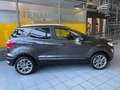 Ford EcoSport Titanium Automatik AHK Gris - thumbnail 4