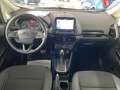 Ford EcoSport Titanium Automatik AHK Gris - thumbnail 11