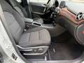 Mercedes-Benz B 250 B B 250/SHZ/AUTOMATIK/ALU/18000KM Silber - thumbnail 23