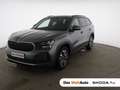 Skoda Kodiaq Selection TDI DSG Grau - thumbnail 1