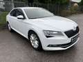 Skoda Superb Lim. Ambition AUTOMATIK/KAMERA/LED/NAVI!! Weiß - thumbnail 3