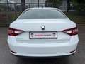 Skoda Superb Lim. Ambition AUTOMATIK/KAMERA/LED/NAVI!! Weiß - thumbnail 6