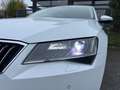 Skoda Superb Lim. Ambition AUTOMATIK/KAMERA/LED/NAVI!! Weiß - thumbnail 4