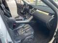 Land Rover Range Rover Evoque 2.2L TD4 Prestige 4x4 Blanco - thumbnail 15