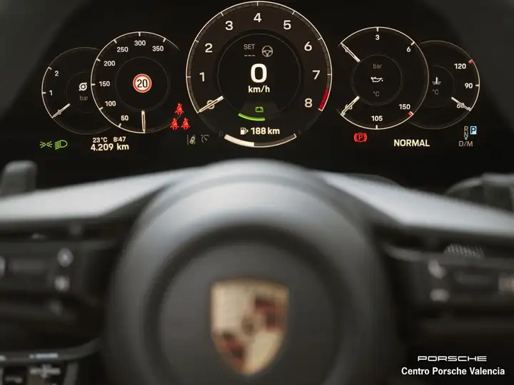 Porsche Carrera 2025, foto 28