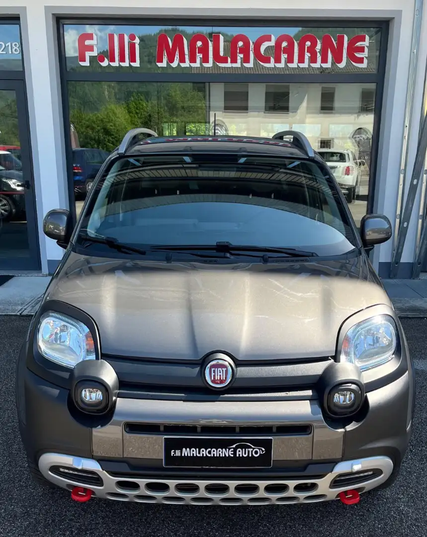 Fiat Panda Cross 0.9 TwinAir Turbo S&S 4x4 SENSORI POSTERIORI Gris - 2